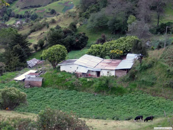 Granja y hogar campesino en los Andes colombianos, Mutiscua, Norte de Santander