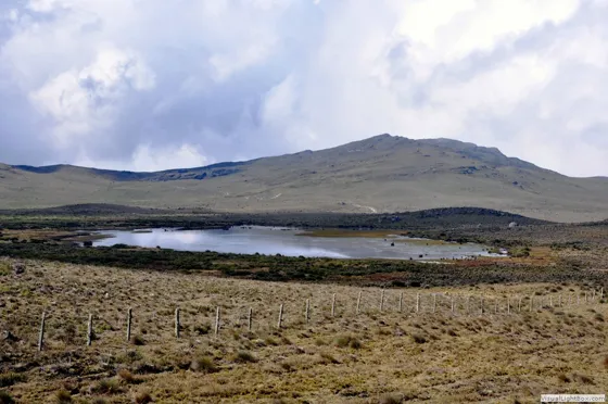 Laguna de Guerrero