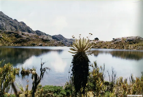 Laguna La Plata en Mutiscua, Norte de Santander