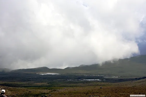 Laguna y humedales del Paramo de Guerrero