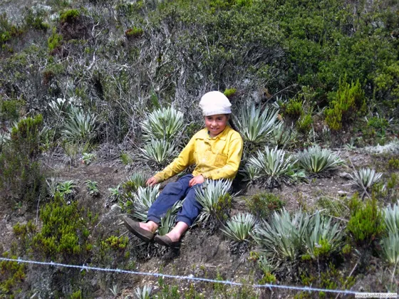 Niña campesina de los páramos de Santurbán, Mutiscua, Norte de Santander2