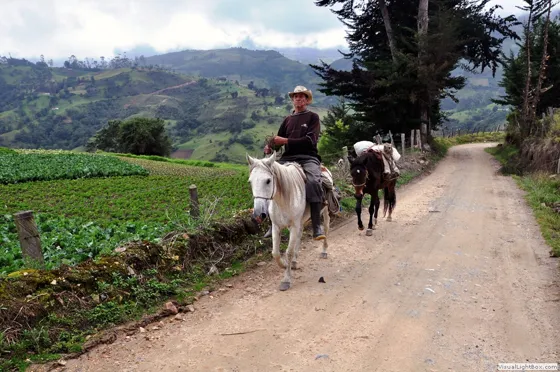 Nobleza, trabajo y don de gentes en Mutiscua, Norte de Santander