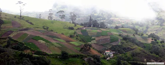 Retazos de campo, hortaliza mutiscuana
