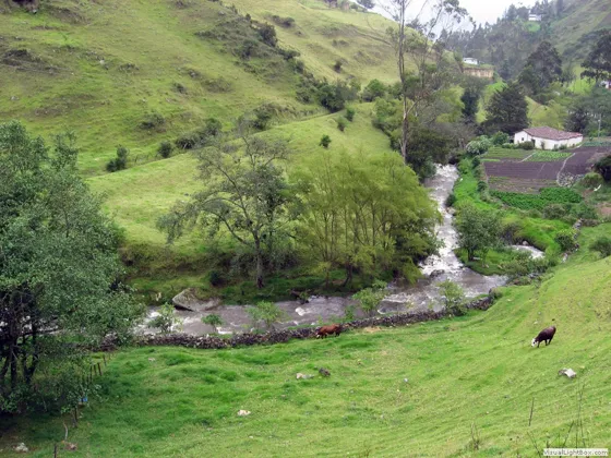 Río La Plata en Mutiscua, cabecera del binacional Zulia, Norte de Santander, Colombia