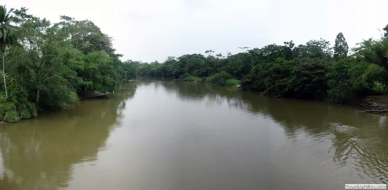 Río Sardinata a su paso por Campo Dos, municipio de Tibú, Norte de Santander, Colombia
