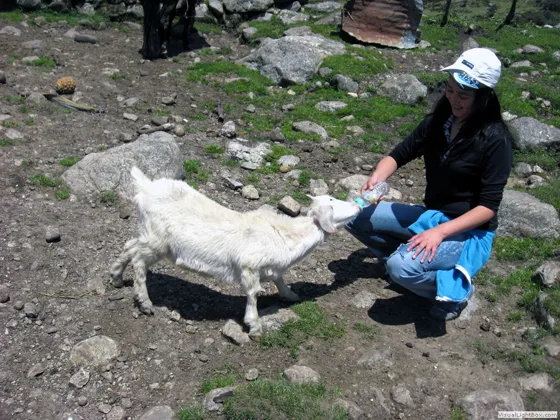 Una colombianita dando de comer a Colombianita, Mutiscua