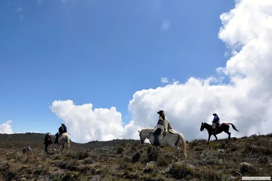 Viejaros de Los Andes, Páramo de Guerrero, Norte de Santander, Colombia