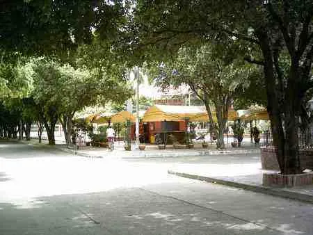 Casetas de venta bajo los árboles de un parque