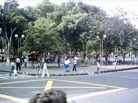 Visitantes en un parque arborizado