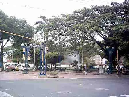 Parque con faroles y árboles