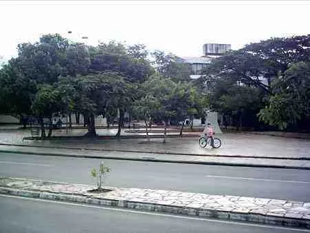 Ciclista frente a un parque arborizado