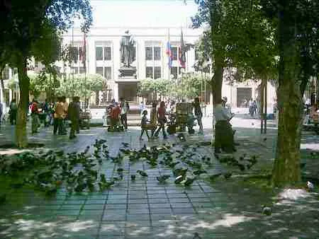 Palomas en un parque del centro, con una estatua al fondo