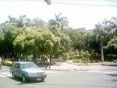 Esquina arborizada de un parque