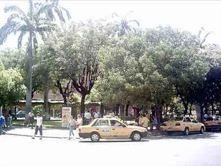 Taxis frente a un parque del centro