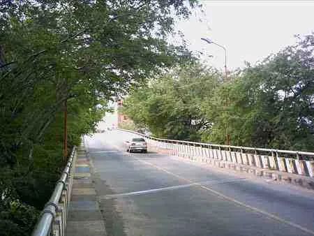 Puente vehicular entre árboles