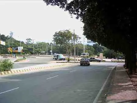 Redoma arborizada en una avenida